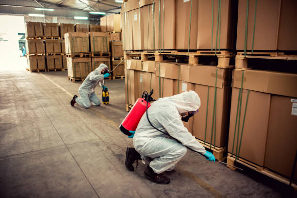 Best Bed Bug Extermination  in Odessa, MO