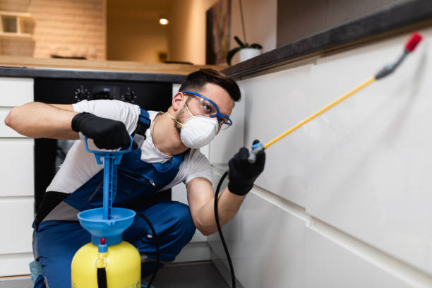 Best Cockroach Control Services  in Odessa, MO