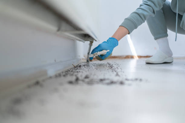 Wildlife Control Services in Odessa, MO