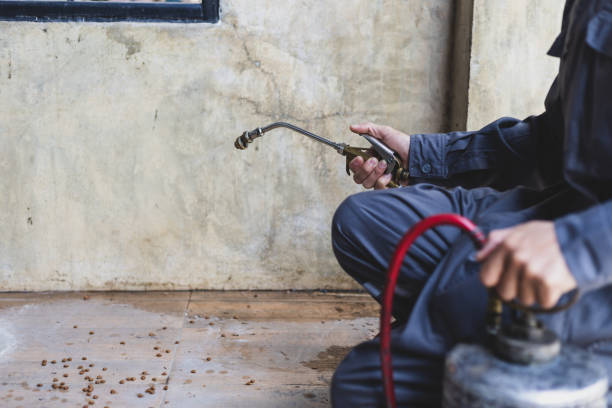 Best Exterminator Services  in Odessa, MO